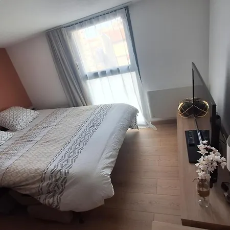 Avec Exterieur Et Terrain De Petanque