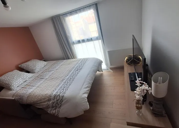 Avec Exterieur Et Terrain De Petanque